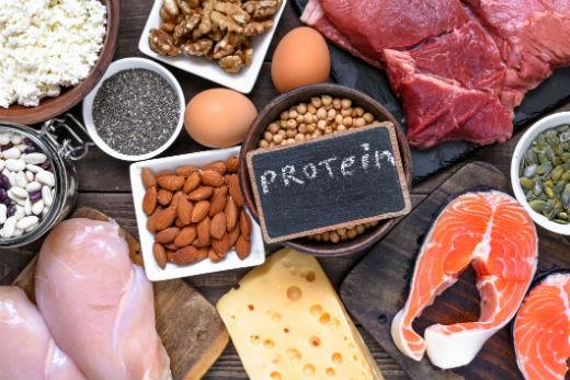 conseil nutrition proteine
